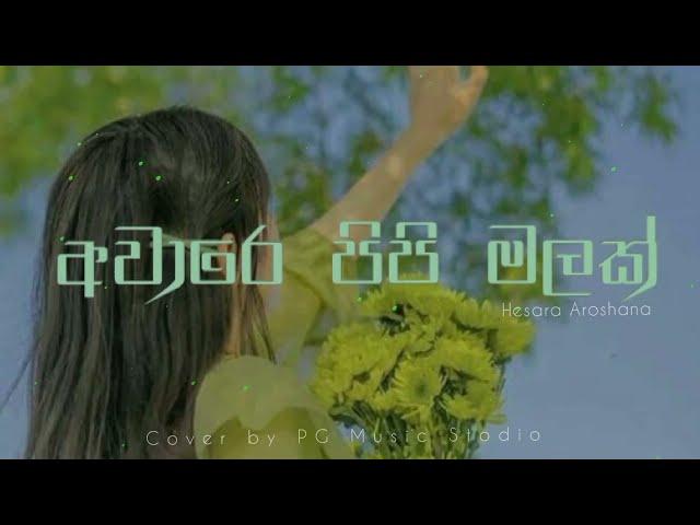 Hesara| අවාරේ පිපි මලක්  (Aware pipi malak) @PGMUSICSTUDIO-o2k