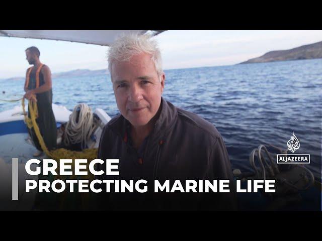 Marine ecosystem in danger: Fishermen launch initiative to protect sea in Amorgos