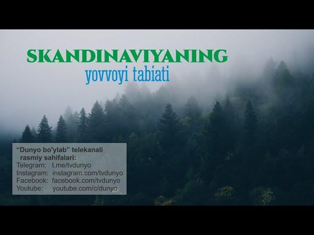 "Skandinaviyaning yovvoyi tabiati" - Dunyo bo'ylab TV