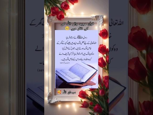 Peaceful pathways  #ahadessmubarak#loveprophetmuhammad SAWW ️