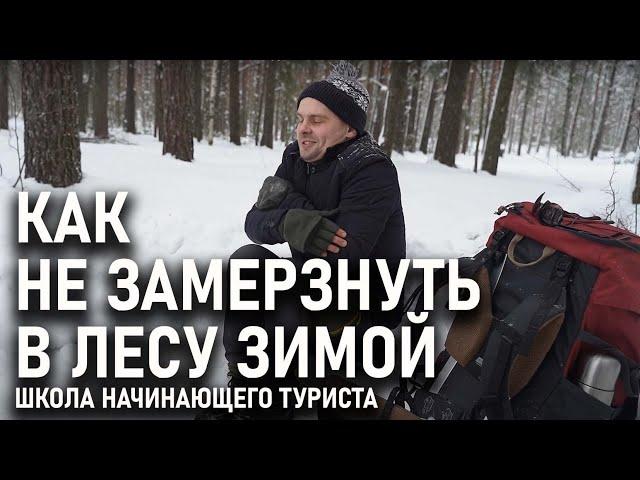 Как не замерзнуть в зимнем лесу: школа начинающего туриста