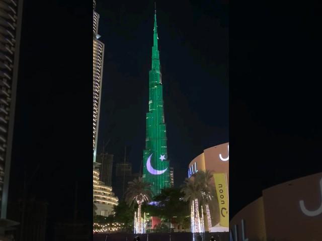 Happy Independence Day  | Pakistani Flag on Burj khalifa #independenceday #pakistan #burjkhalifa