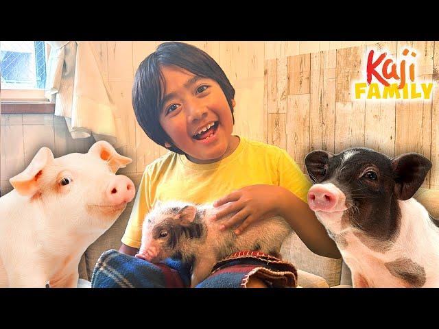 Ryan and Family Visit Pig Cafe!