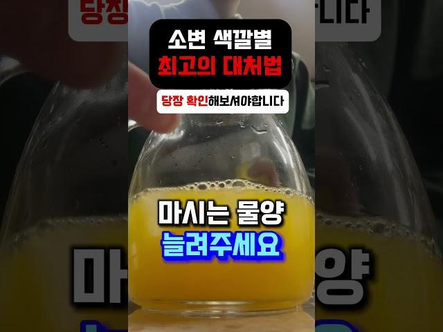 소변색깔별 최고의 대처법
