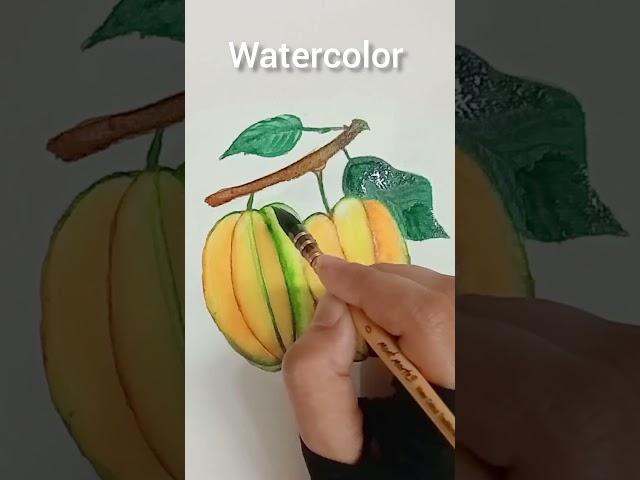 Watercolor Star fruit painting #art #painting #drawing #stilllife #watercolor #shorts