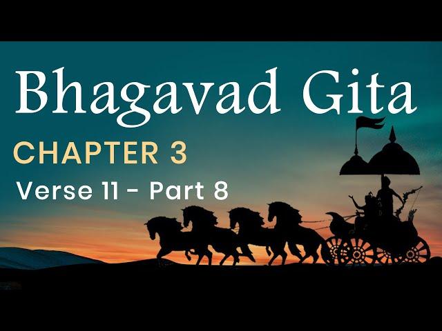 Bhagavad Gita Chapter 3, Verse 11 - PART 8 in English by Yogishri