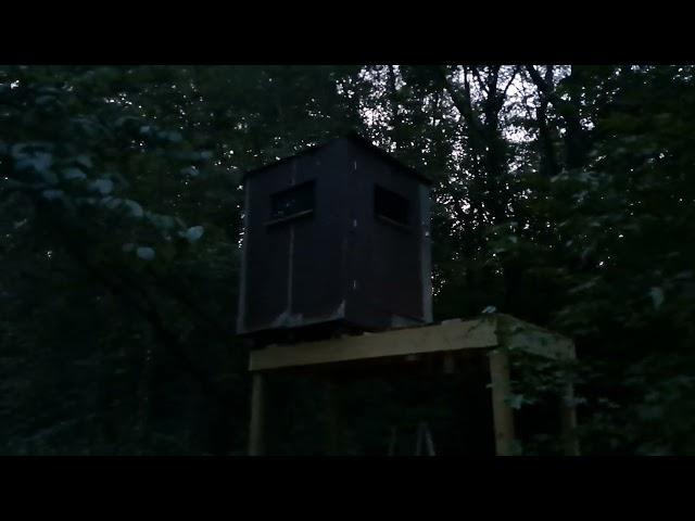 Deer blind is finally coming together.