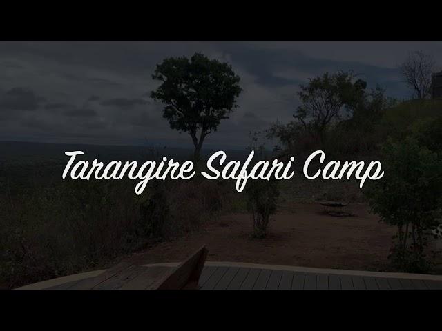 Tarangire National Park with Ranger Safaris