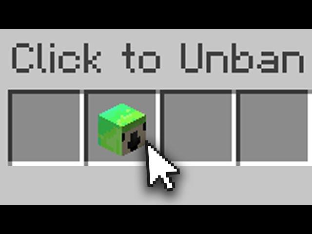 I was Unbanned on the LifeSteal SMP...