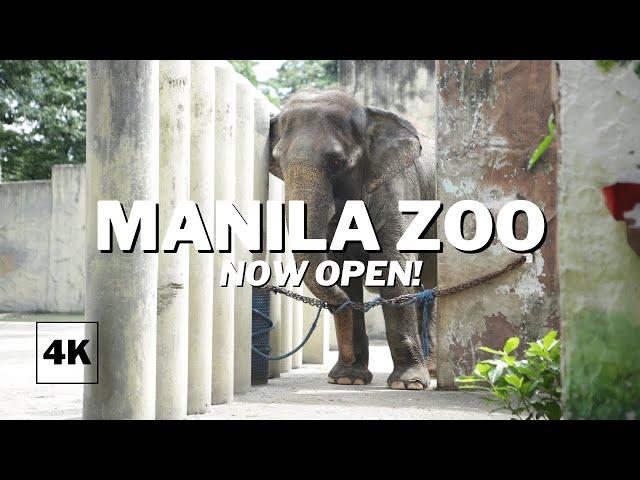 NOW OPEN! The New & Improved Manila Zoo | Manila Zoological & Botanical Garden | 4K Binaural Audio