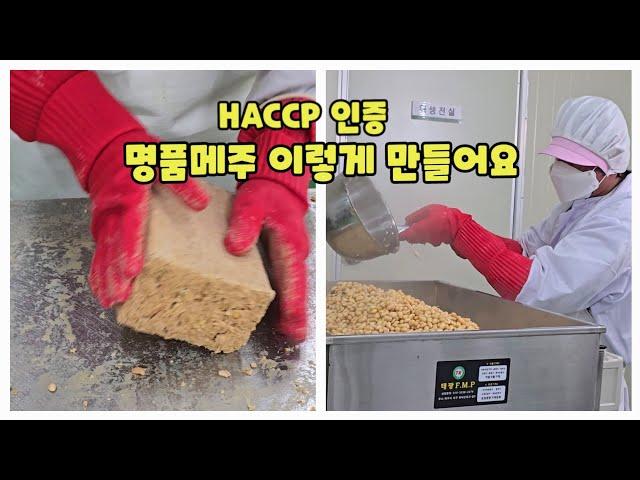 HACCP 인증 메주만들기  발효식품을 연구하는 오가농원 명품메주 국산콩메주 대원콩 [메주만드는방법]