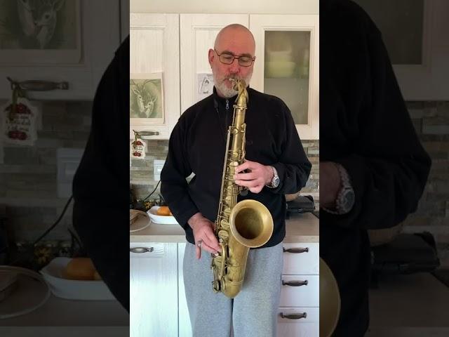 Selmer Mark VI 76K full repadded (Metal resonator / rivet, Pisoni Pro MKVI set) - 1st test: Sound