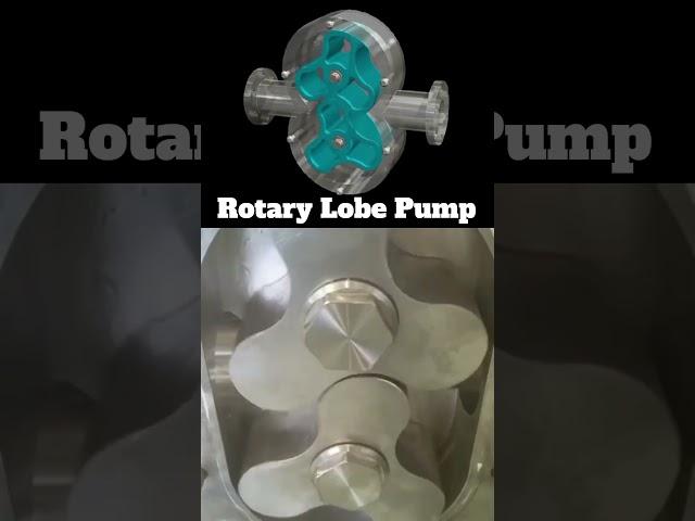 Rotary Lobe Pump#pump #hydraulicpump #industrialpumps #mechanicalengineering #pumps @Er_Simmu1014