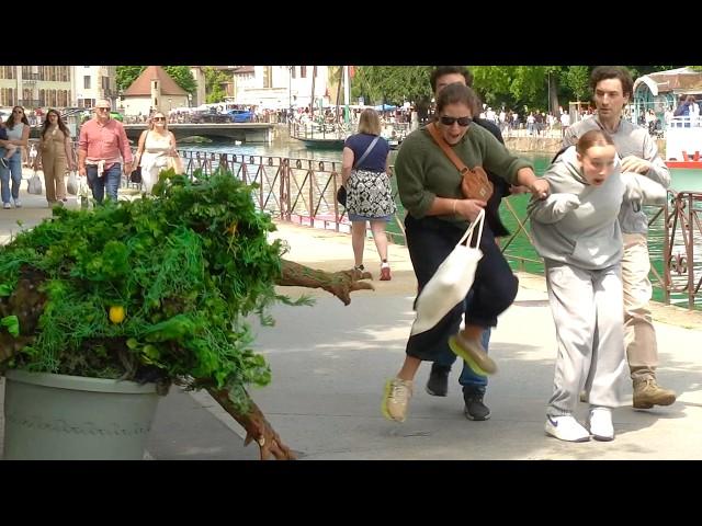 Ultimate BUSHMAN PRANK, best summer reactions 2025