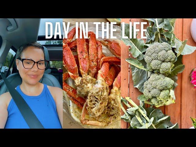 DAY IN THE LIFE || DIY raised bed, target run, crab boil + more