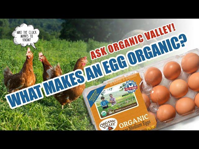 Organic Eggs | Ask Organic Valley