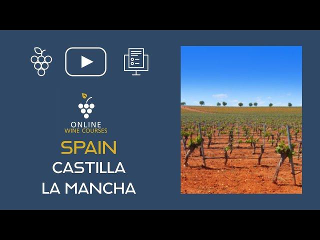 Wine Region of Castilla la Mancha | SpainOnline Wine Courses ️ with QUIZ