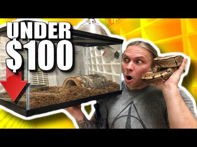 BALL PYTHON SETUP FOR UNDER $100! | BRIAN BARCZYK