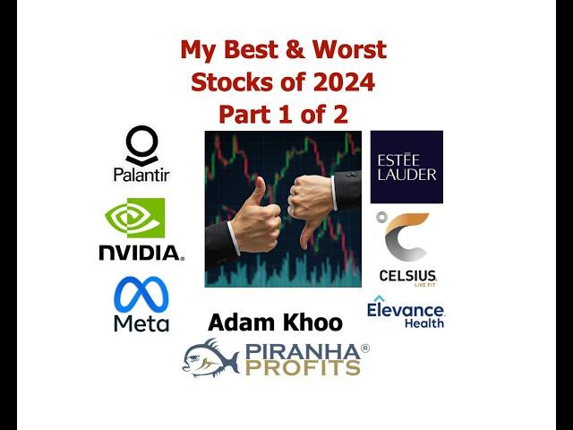 My Best and Worst Stocks of 2024 Part 1 of 2