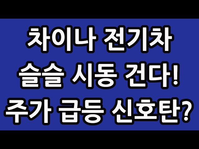 차이나 전기차 SOLACTIVE 주식 주가 전망 타이거 TIGER 중국 ETF 비야디 테슬라 니콜라 루시드 엔비디아 아이온큐 TQQQ SOXL TMF 시동 거는 건가?