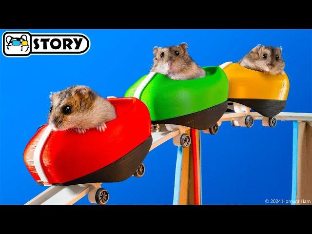 Hamsters on the World's Largest Roller Coaster in the Amusement Park Maze  Homura Ham Pets