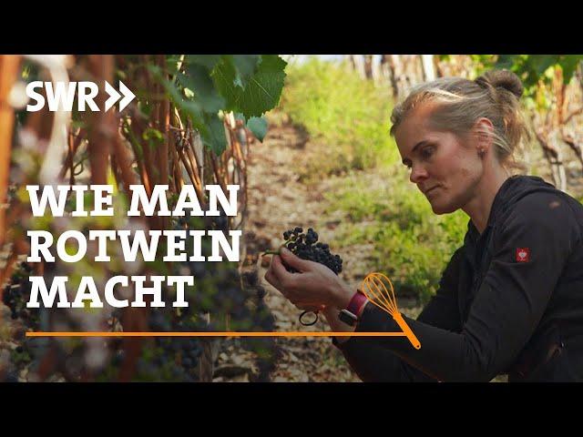 How to make red wine | SWR Craftsmanship