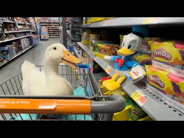 I took my duck Shopping 