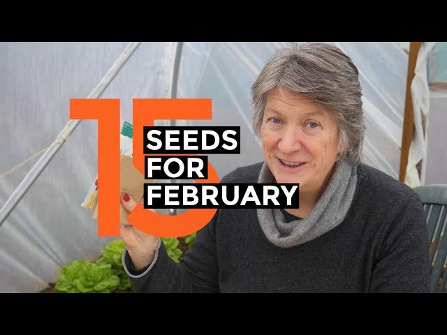 What To Sow In FEBRUARY | Easy to grow crops