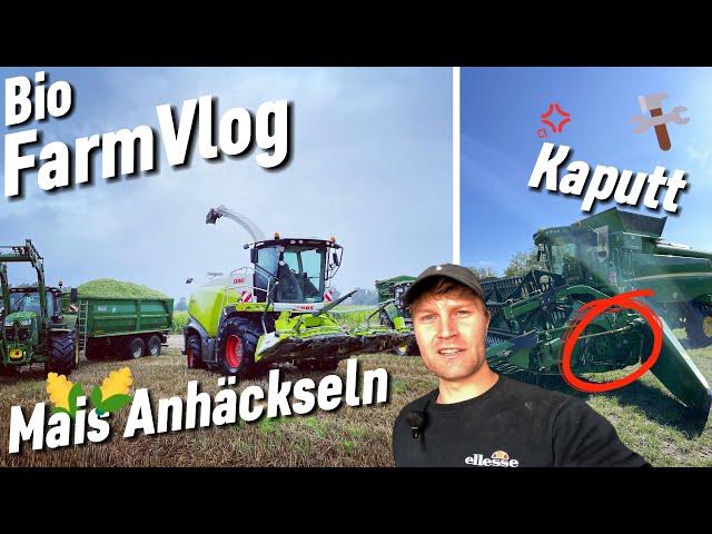 Kurz vor Ende Drescher kaputt- MaisHäckseln - Pronto 6 AS drillt ZF - 6250R Stoppelsturz / Vlog 40