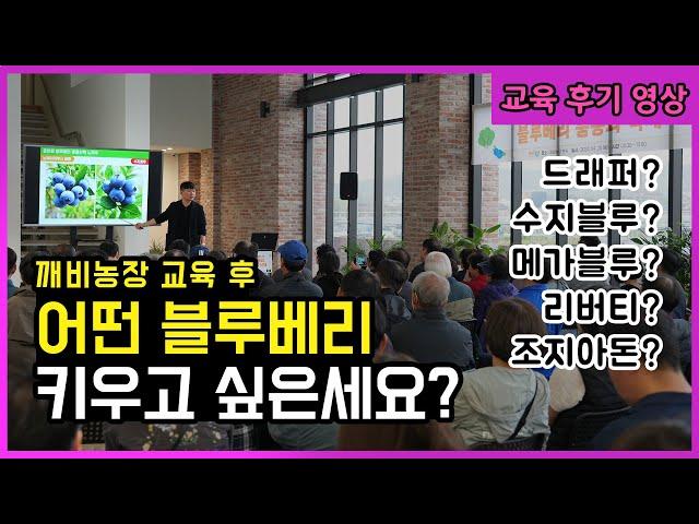 블루베리 어떤 품종 키우실건가요? [깨비농장 블루베리 재배 교육 후기 영상]