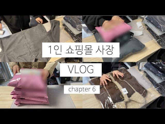 초보 쇼핑몰 사장 브이로그 6탄 / tmi 남발 브이로그 / 주문건 포장 vlog / 에이블리, 지그재그 사장 브이로그