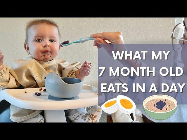 What My 7 Month Old Eats in a Day (Baby Led Weaning & Stage 2 Weaning Recipes) | HomeWithShan