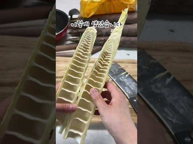 푸바오가 먹은 죽순은 무슨맛일까? #내돈내산 #제품리뷰 #푸바오 귀여워