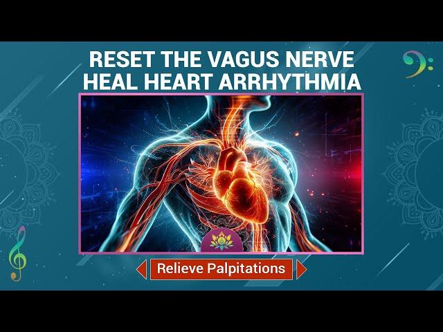 Reset The Vagus Nerve - Heal Heart Arrhythmia - Relieve Palpitations - Soothe Your Heartbeats