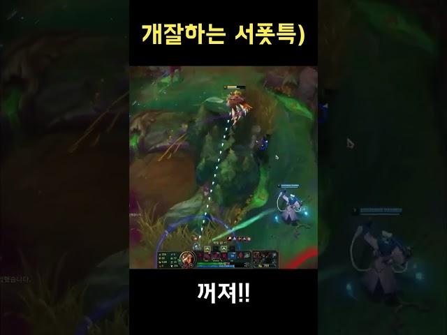 (소리주의)개잘하는 서폿 특징ㅋㅋㅋㅋㅋ