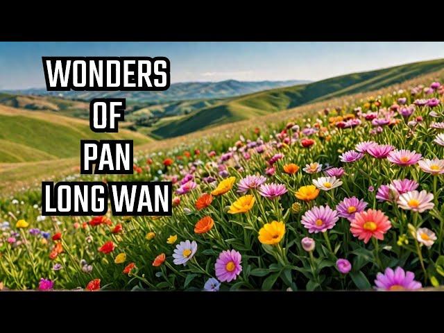 The Secret of Pan Long Wan: A Blooming Mystery