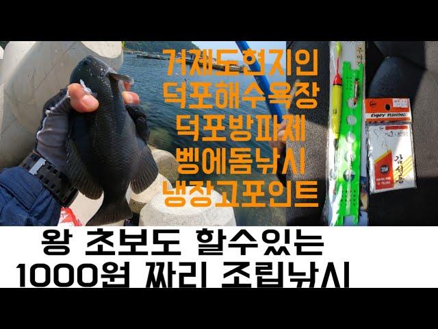 [거제도 현지인] 벵에돔 낚시 덕포 방파제 해수욕장 초보 낚시 방법 1000원 짜리 조립 낚시 채비 방법 민장대 낚시