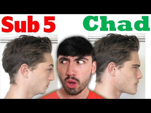 Are You A Sub 5, Normie, or Chad?