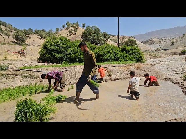 Rural life . Babak's attempt to work in the farm and village @par8484