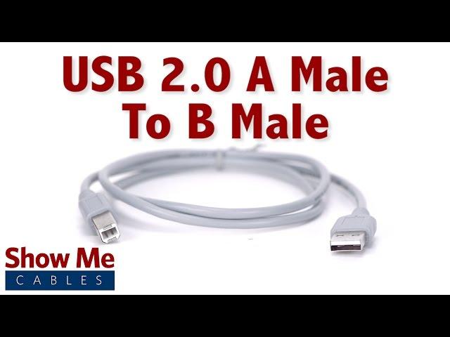 Easy To Use USB 2.0 A Male to B Male - Highlight