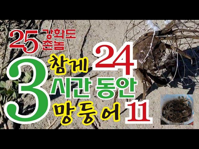 3시간 동안 참게 24마리 망둥어 11마리 잡기