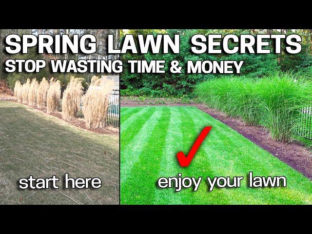 HOW I JUMPSTART MY LAWN IN SPRING - Spring Lawn Care Tricks REVEALED!