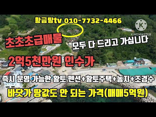 영덕바닷가펜션 초초초급매물 매매가5억원 2억5천만원 인수가 바닷가 땅값도 안되는 가격에 모두 드립니다