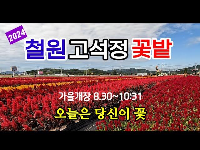 가을바람 꽃바람 따라 | 삼부연폭포 / 고석정 꽃밭 / 고석정 | 9.28일 방문