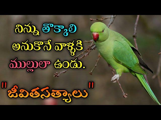 జీవిత సత్యాలు #146 |మంచి మాటలు|Inspirational quotes|Motivational quotes|సూక్తులు|Telugu quotes