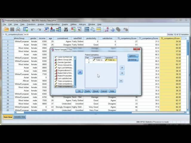 Paired t-test using SPSS