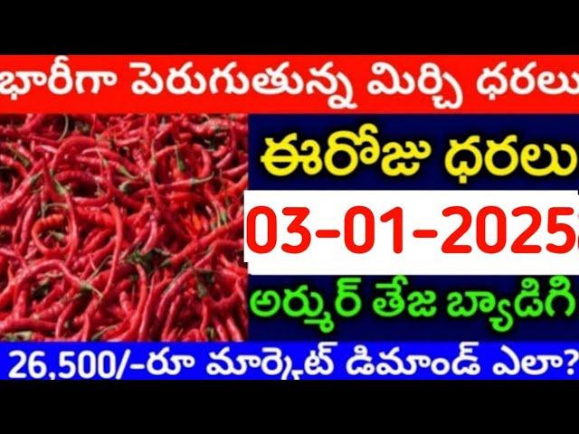 03-01-2025 గుంటూరు మిర్చి మార్కేట్ ధర || Today #MirchiRates In market ||  Mirchi Rate Increase ??