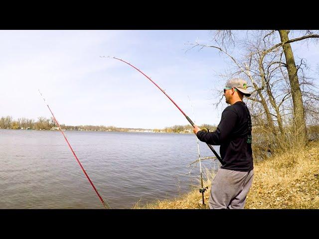 How to catch TONS of Fall Catfish from the BANK!