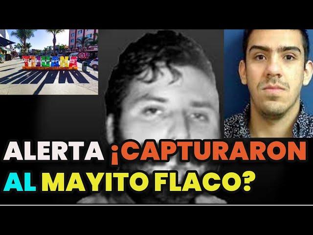 detienen al MAYITO? |  análisis  de lo que paso en TIJUANA