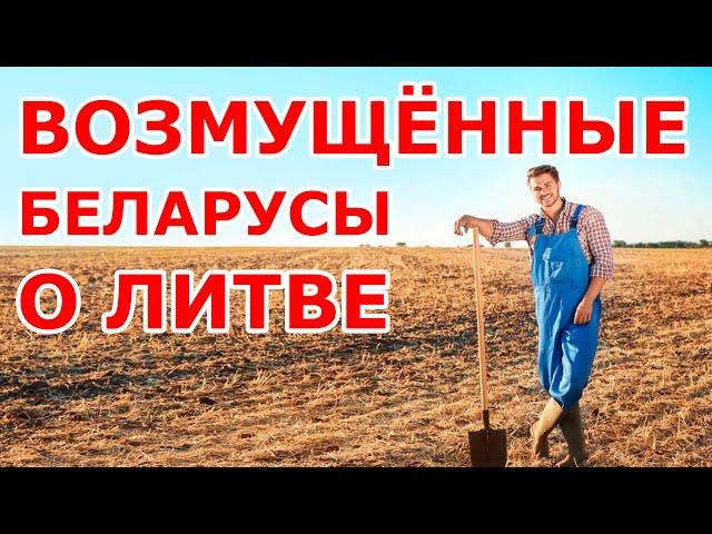 Возмущённые беларусы о Литве 